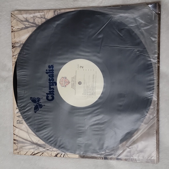 Randy Travis Storms of Life Vinyl Record - Picture 3 of 5